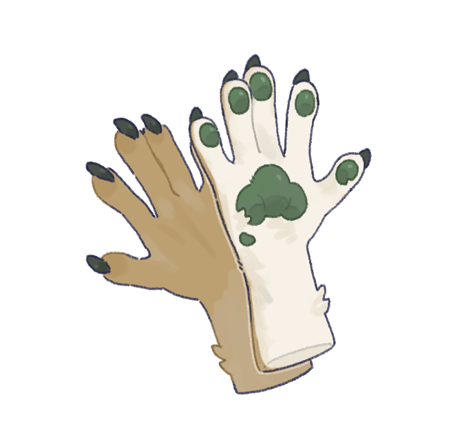 五指爪