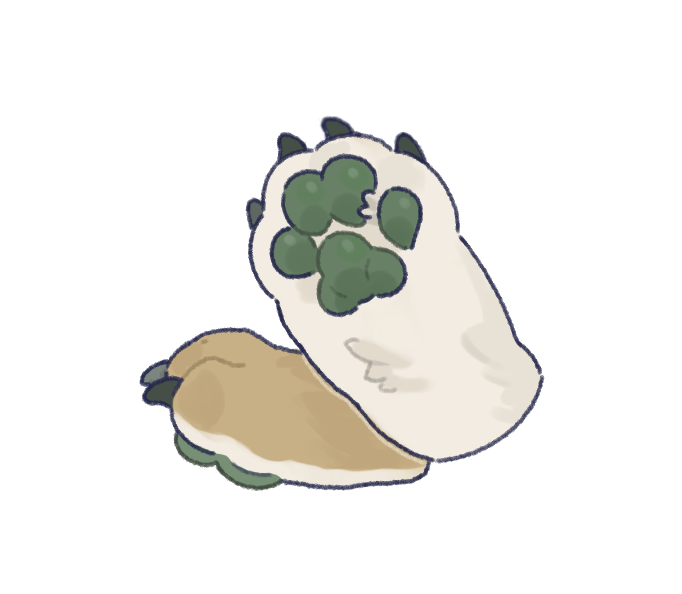 日系爪