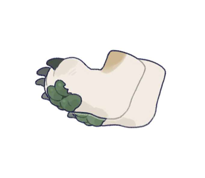 爪袜